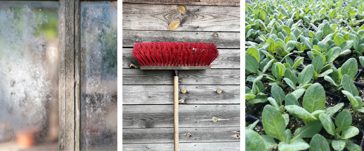 Grote schoonmaak in de opkweekruimte