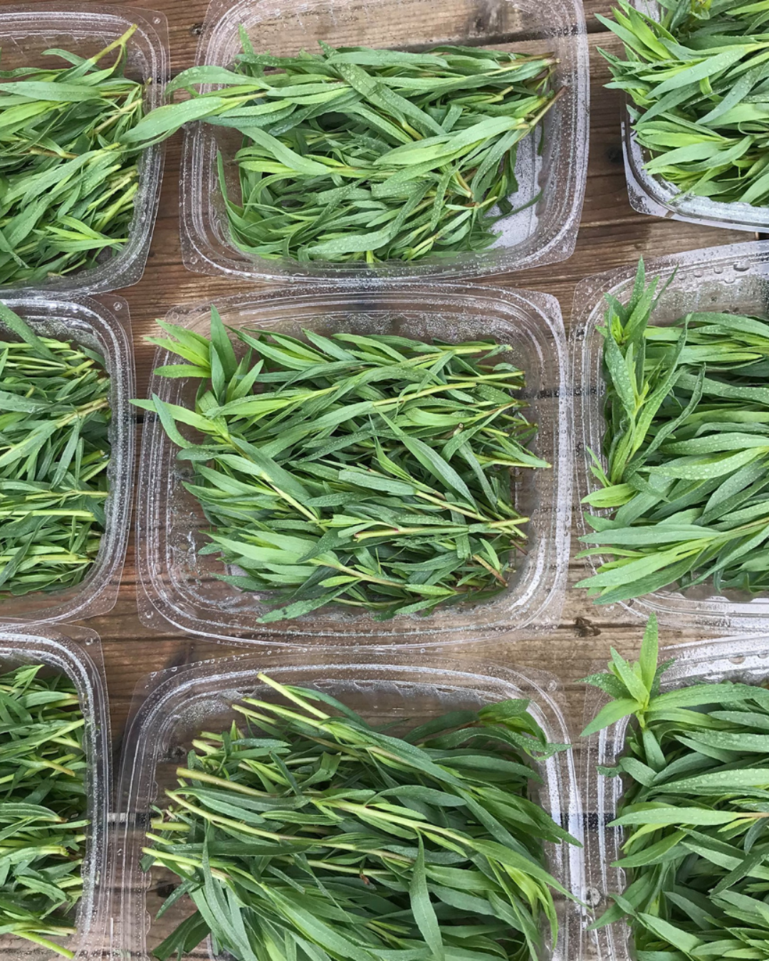 Eco Kruidenteler Traject