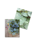 Bloemen + kruiden