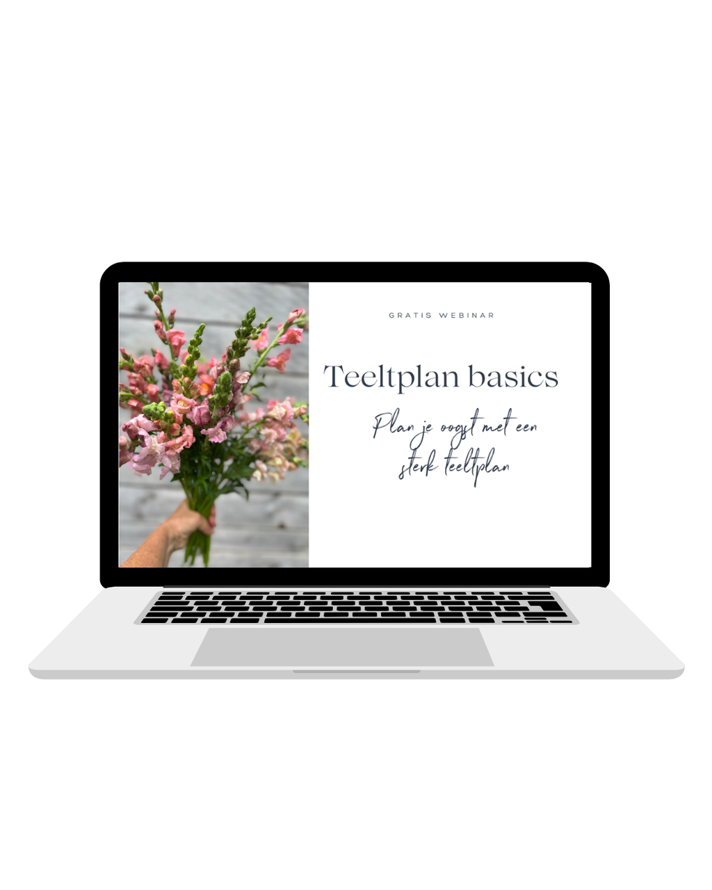 Teeltplan basics